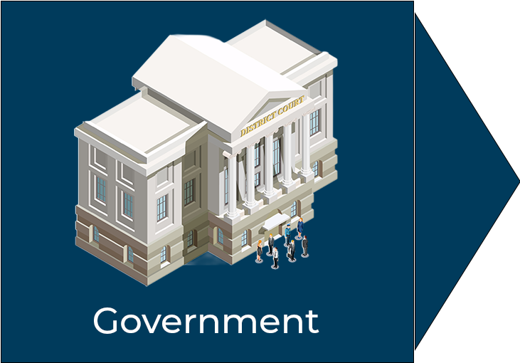 Government